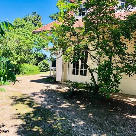 Vue Avec Acces Direct A La فيلة *